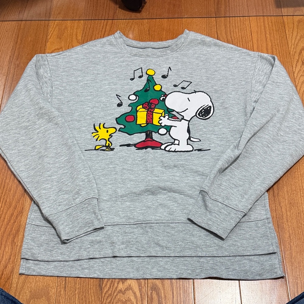Peanuts Gray Sweatshirt with Snoopy and Woodstock
